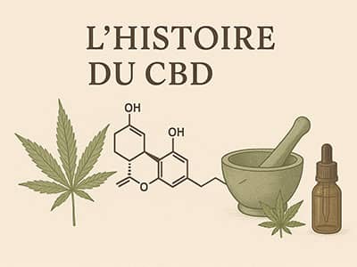 L’Histoire du CBD