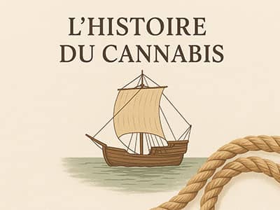 L’Histoire du Cannabis